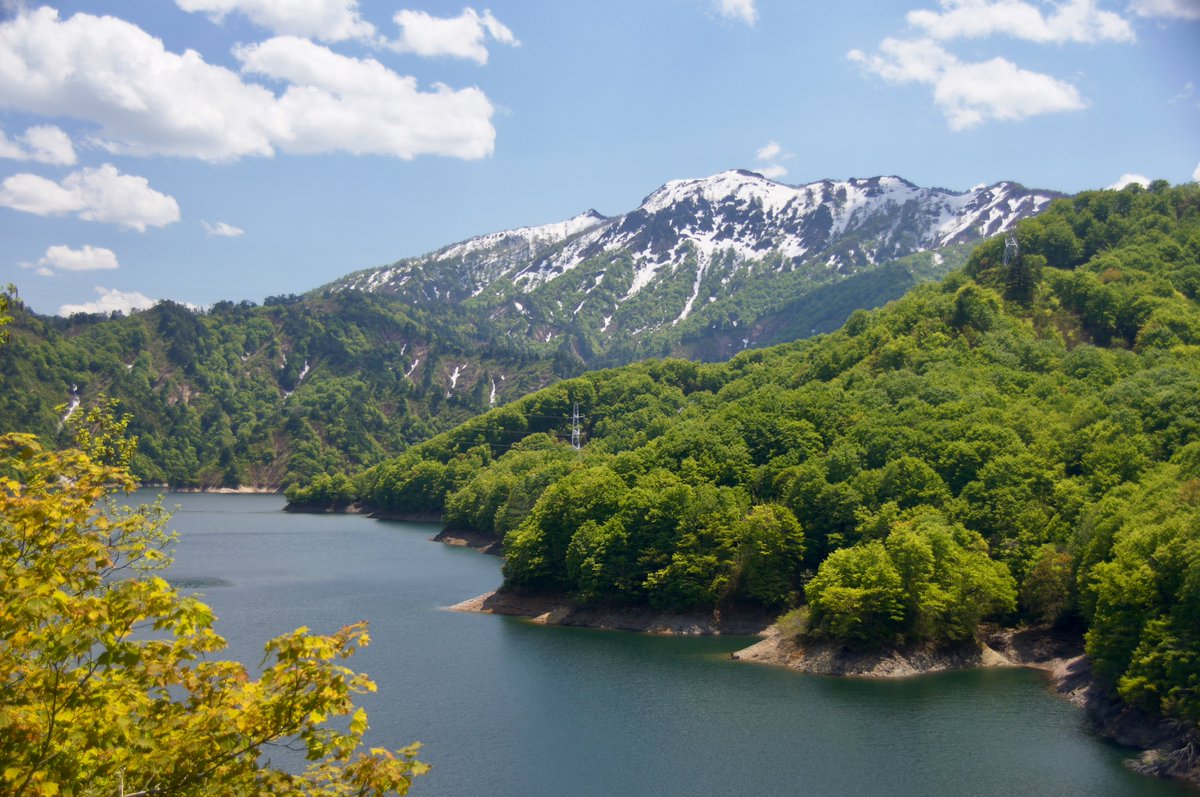 kokokarincyo tweet media