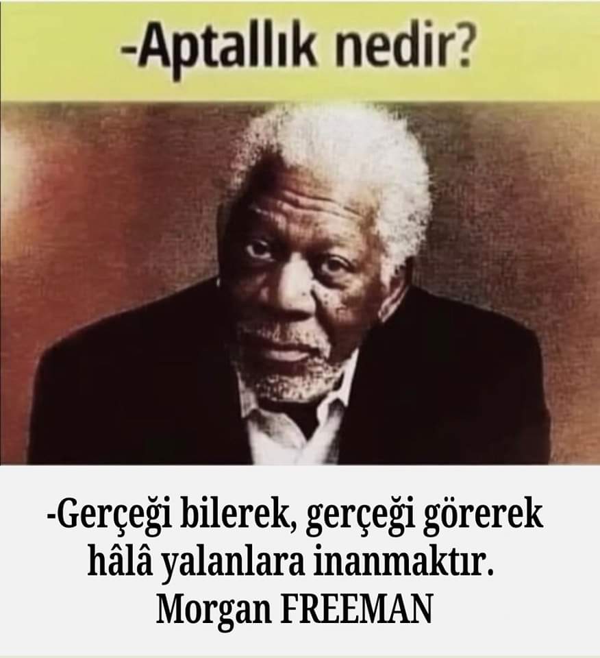 #gününkelimesi Aptallık 🤔