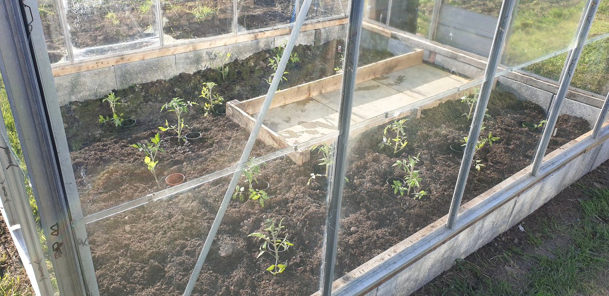 Plot16c2 tweet picture