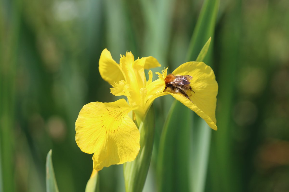 SLJ EDUCATION CONSULTANCY tweet media