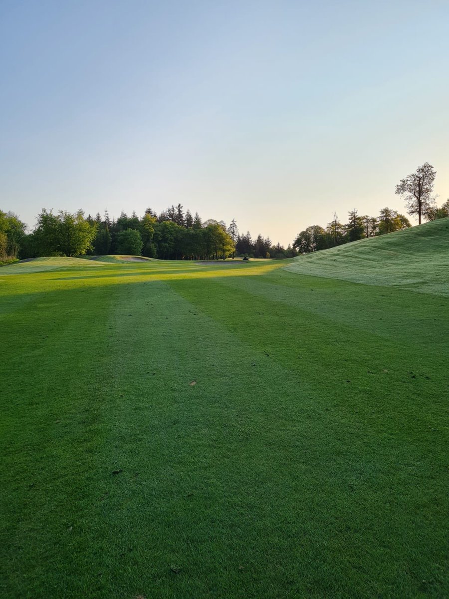 Castlecomer Golf tweet media