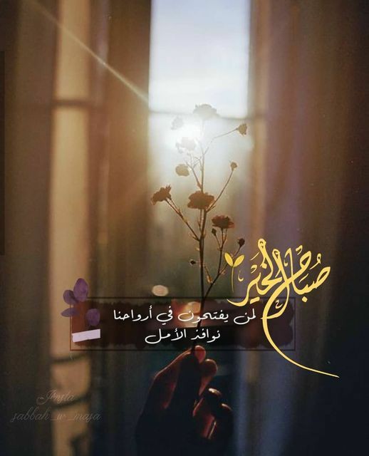 ・❥・𝒛𝒂𝒚𝒆𝒅●♡ tweet media