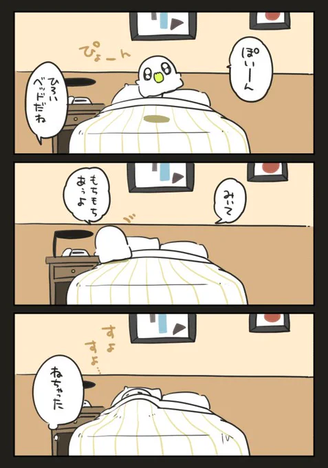 画像貼れてなかったね、ごめんなさい