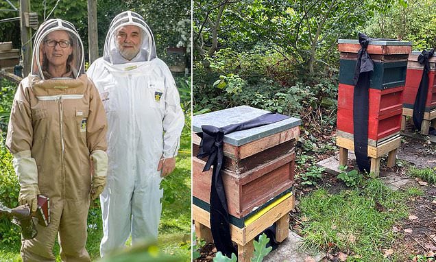LadyRocketSpace's tweet photo. @BeeAsMarine in my quest to fund saving #Bees I launched #BeesOnTheMoon to send Bees sound #ToTheMoon using @CopernicSpace, I discovered that #KingCharlesIII is a devoted #Beekeeper. So was #QueenElizabeth. I prepared #QueenBee and #RoyalBee NFT collection on @spaceibles. Here Buckingham Bees!