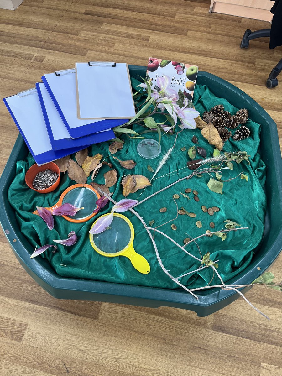 JESSJumeirahYr1's tweet photo. Y1 have been exploring plants in science this week, they got asked a question: can you grow a plant from a seed? The children loved exploring different fruits and finding the seeds to plant. #JESSJumScience #JESSJumCollaborative https://t.co/uUVnBK0ZNa