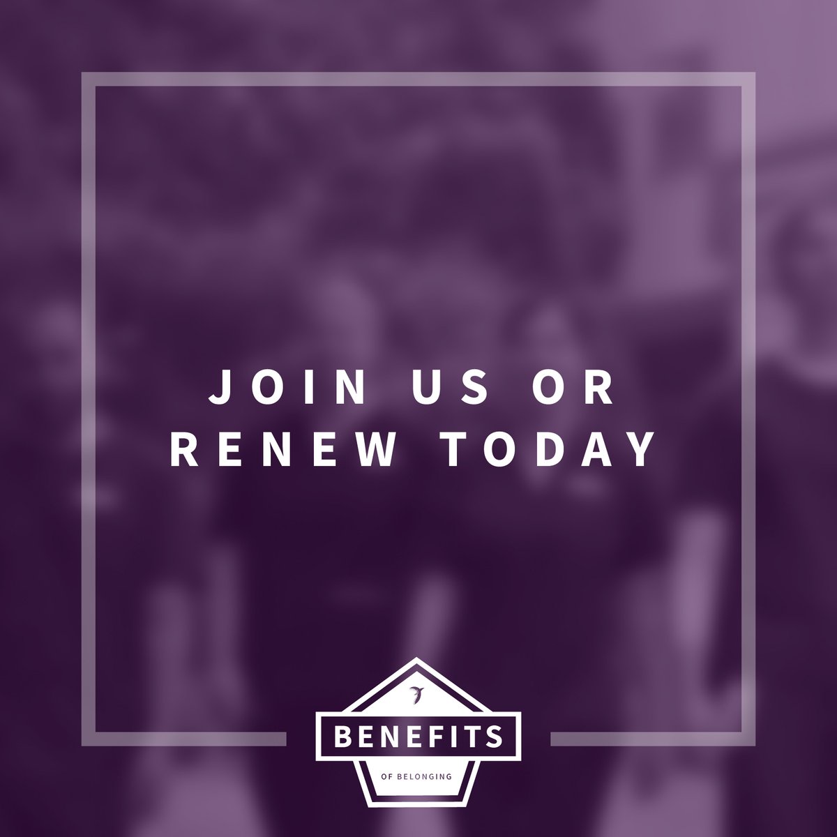 otaust's tweet photo. Happy Volunteer Week! OTA members shape the future of OT. Volunteer in Divisional Council, National Reference Groups, feedback on survey submissions, chair sessions at our conference, write for Connections magazine & more.
Learn more β‘οΈhttps://t.co/Bz0ZaFpMaO #BenefitsOfBelonging https://t.co/DgqZWE3zq2