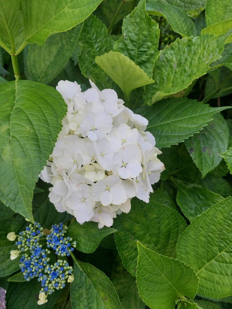 On2_MarKie99 tweet media