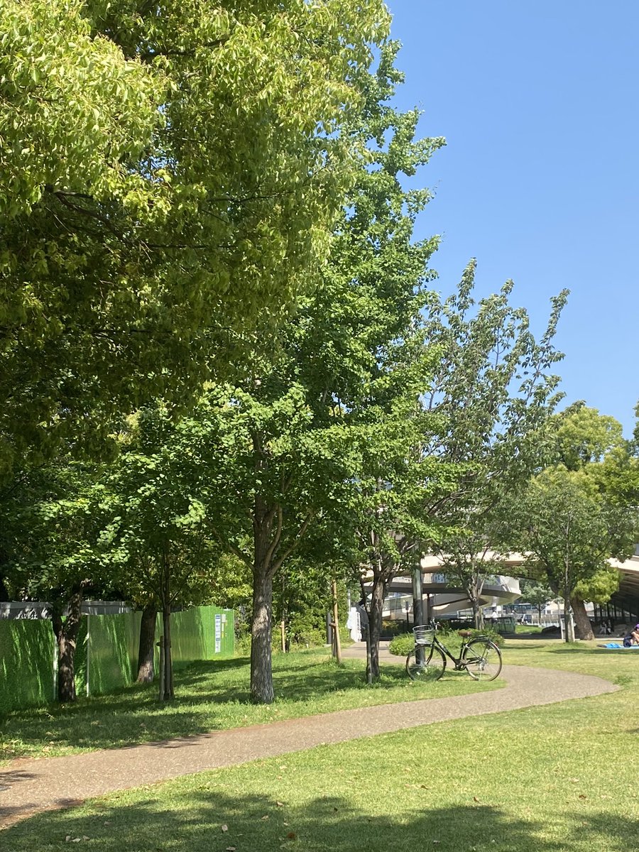 あ、毎日必死に生きてます