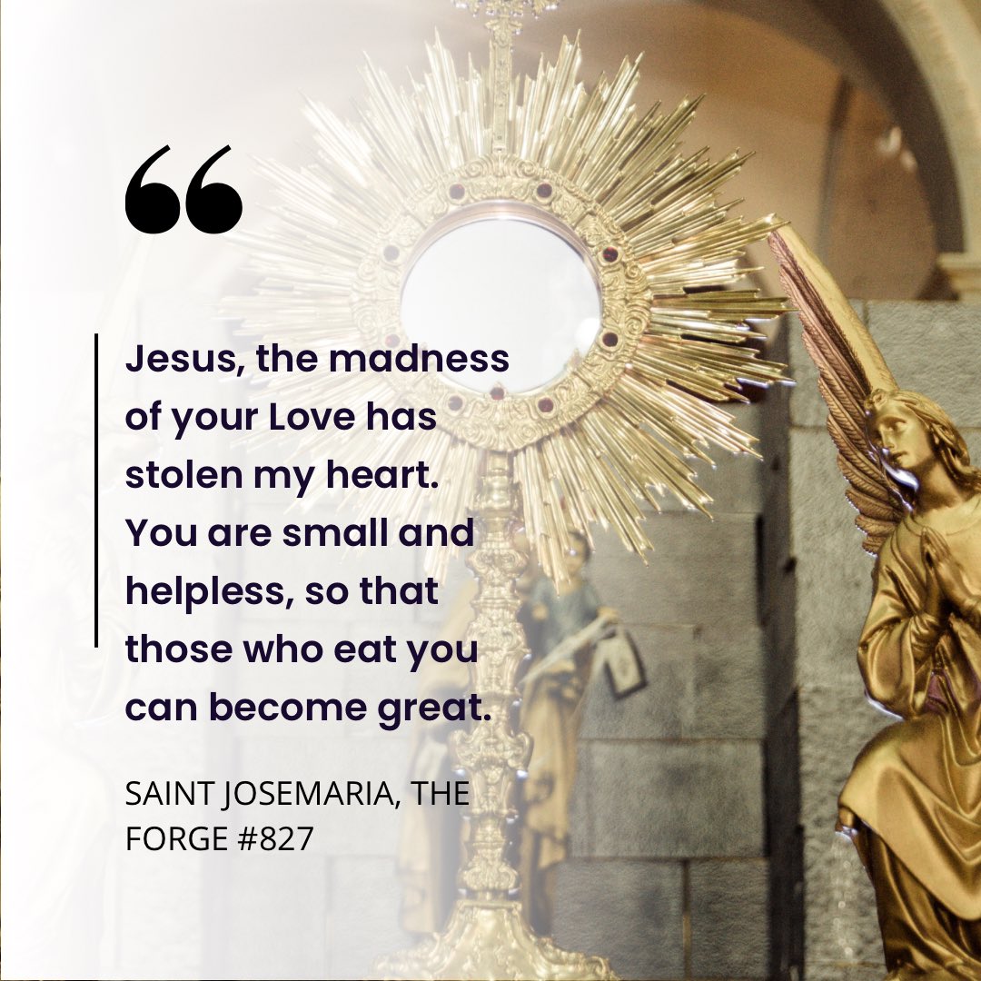 Let the madness of divine love steal your heart! 

#SaintJosemaria #DivineLove #TransformativePower #FindGreatness #Humility #ChristianFaith'