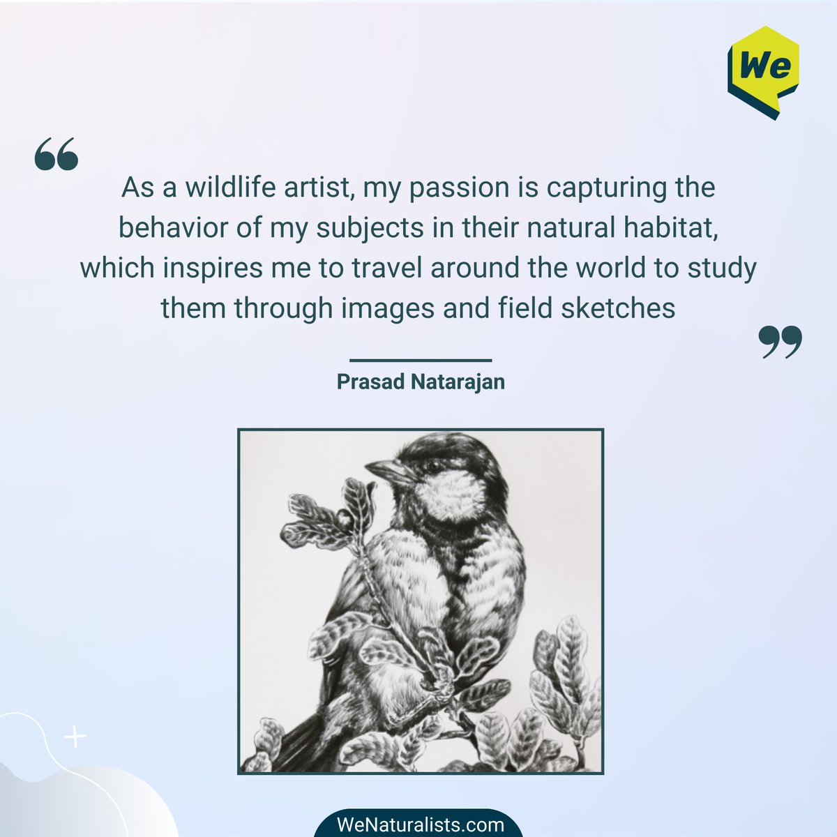 Prasad Natarajan (@onmyeasel ) is a #wildlife artist. The main motivation of his artwork is to raise awareness about the conservation of #wildlife and the species that are on the verge of extinction. Meet such individuals at wenaturalists.com
