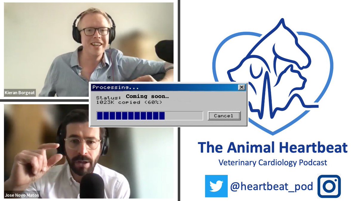 Coming soon… our special season-opener! A two-part episode on feline cardiomyopathy. #vetcardio #vetcardiology #cardiology #veterinarymedicine #veterinarysurgery #veteducation #vetlife #vet #vetpodcast