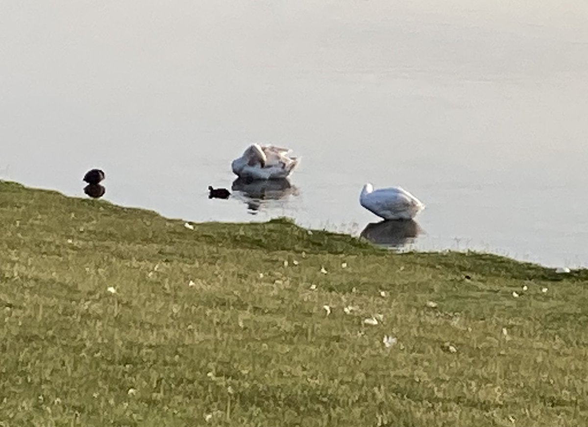 Mrs Earnshaw tweet media