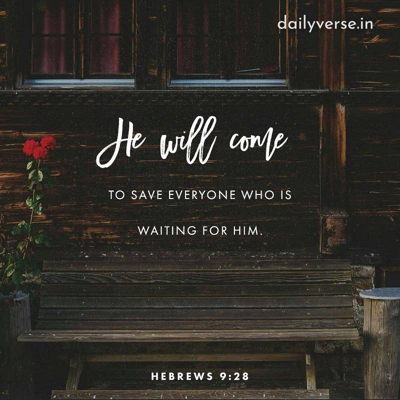 InnocentByabag5's tweet photo. HEBREWS 9:28 https://t.co/mwQY7vuO2m