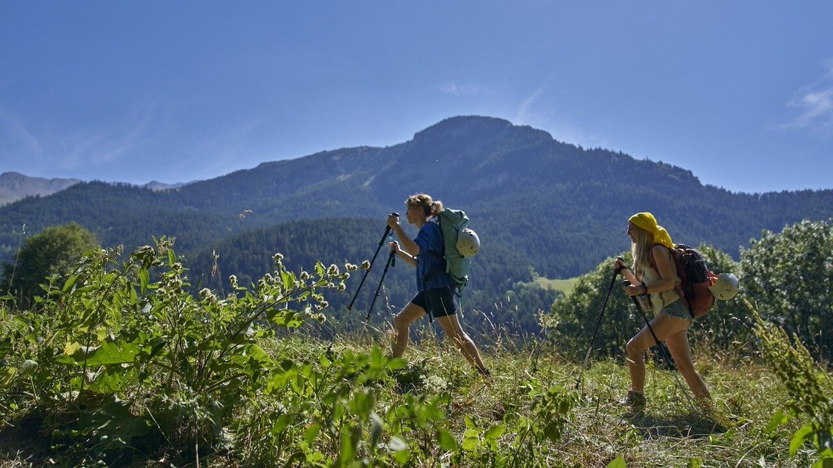 #Audiences #Top1 🇫🇷 : Hier, "Les randonneuses | Sara" a recueilli une PdA de 18.5% pour <a href="/TF1/">TF1</a> sur les foyers SFR  (8h00.fr - Source SFR Analytics)