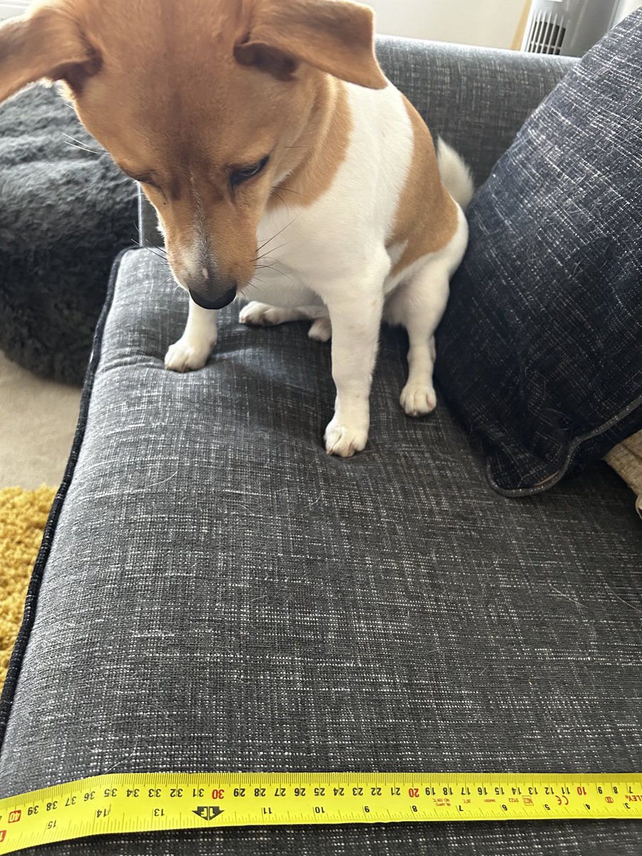 Good Morning! Making sure she measures it properly! I’m supervising 🥰🥰🥰