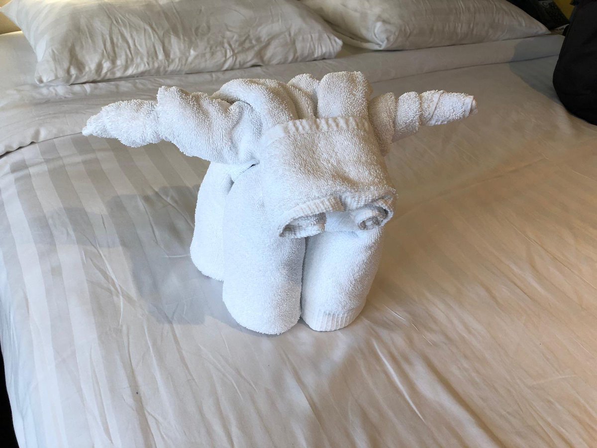 HCA East of Scotland (@hca_eos) on Twitter photo McFudge again, just made a new friend real surprise, he’ a bit cloth eared though😂😜 second picture has better definition- roving reporter out <a href="/HCAWoS/">HCA West Of Scotland</a> <a href="/RobbHca/">b.robb-HCA</a> <a href="/HCA_Forum/">Hospital Caterers Association L & D Forum 2026</a> <a href="/hospitalcaterer/">Hospital Caterers Association</a> McFudge again, just made a new friend real surprise, he’ a bit cloth eared though😂😜 second picture has better definition- roving reporter out <a href="/HCAWoS/">HCA West Of Scotland</a> <a href="/RobbHca/">b.robb-HCA</a> <a href="/HCA_Forum/">Hospital Caterers Association L & D Forum 2026</a> <a href="/hospitalcaterer/">Hospital Caterers Association</a>