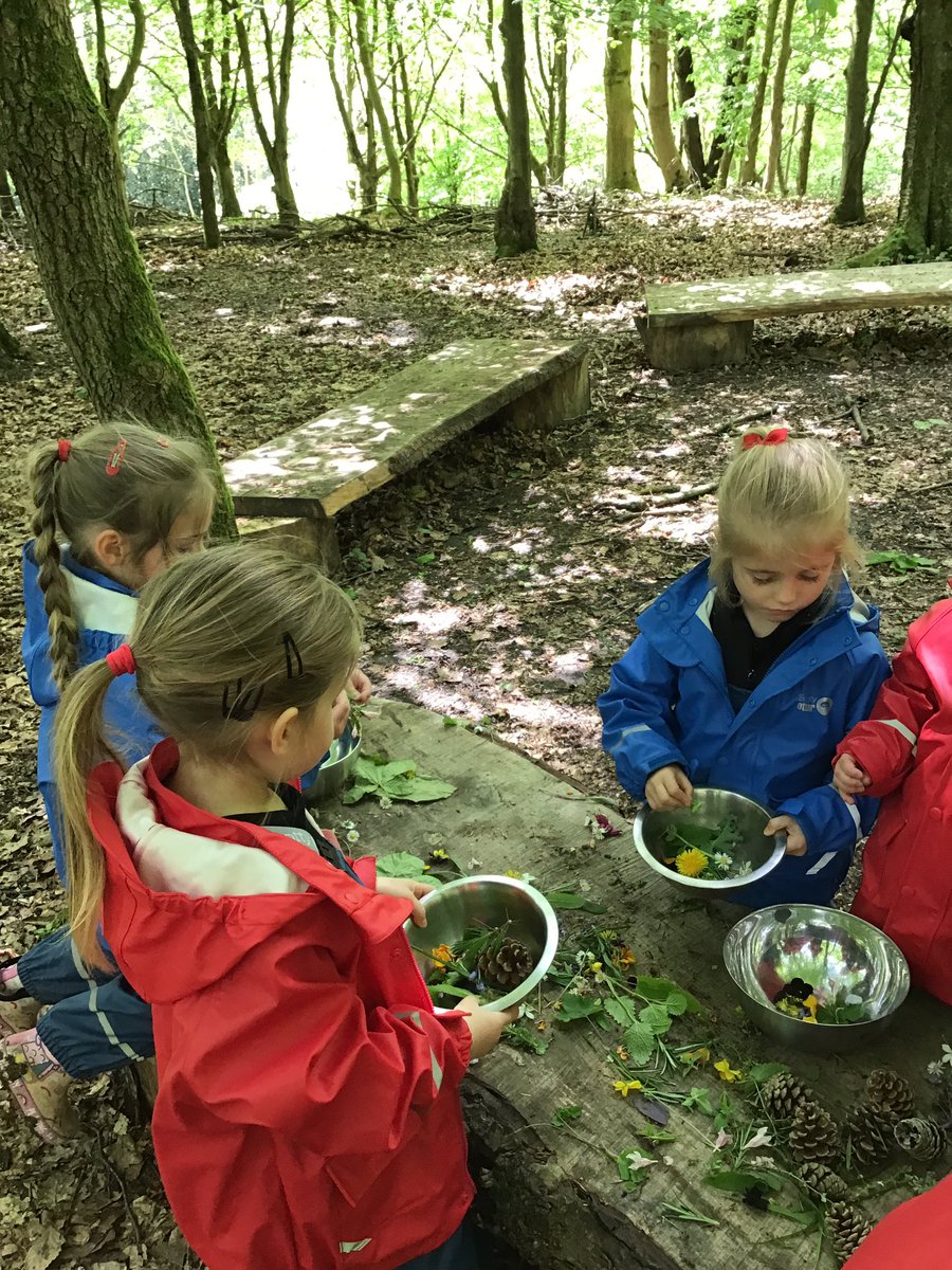 PipersForestSch's tweet image. Reception @PipersPrePrep collected bugs and made Forest perfumes on a beautiful day in our woods #spring #getoutdoors #pipersgrounds