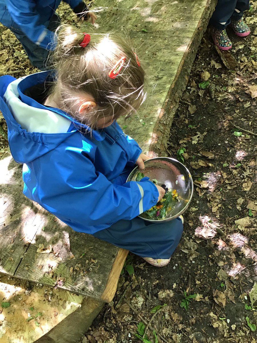 PipersForestSch's tweet image. Reception @PipersPrePrep collected bugs and made Forest perfumes on a beautiful day in our woods #spring #getoutdoors #pipersgrounds