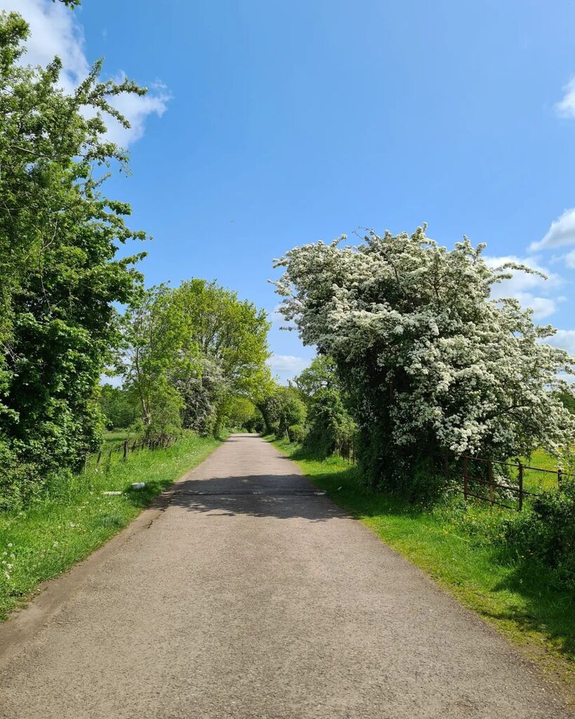 Gorgeous lunchtime run in the sunshine so quiet apart from the cows munching away! 😎🏃‍♂️
#run #runner #running #runninggirl #runningmotivation #countrylane #view #cows #farm #farmlife #views #countryside #englishcountryside #cow #field #Wokingham #ludgro… instagr.am/p/CsTbjIKth3o/