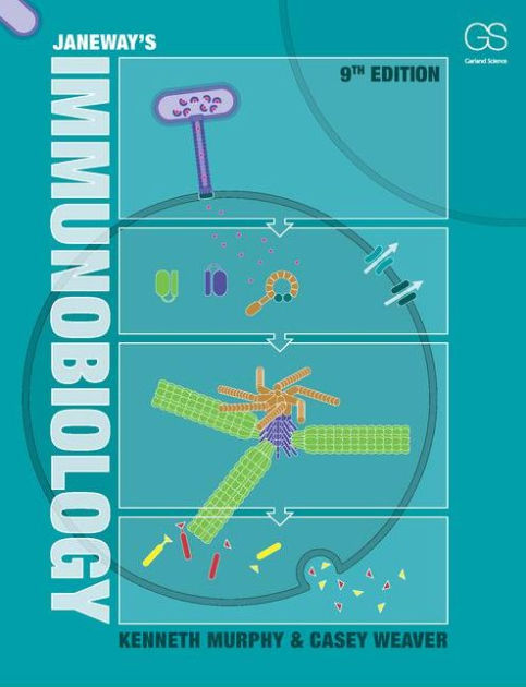 edgarvlermamd's tweet photo. Nice comprehensive review of the complement pathway (9th Edition)  #PathophysiologyPearls #Nephpearls https://t.co/yP6vHeXyrV