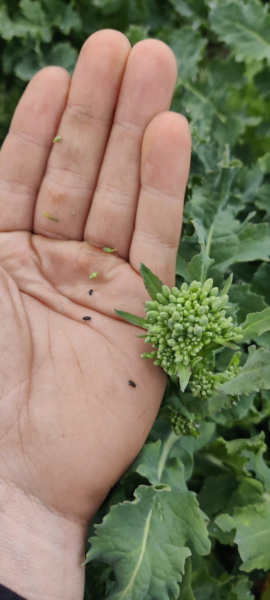 Annaleena Ylhäinen 🇫🇮🇺🇦 tweet media