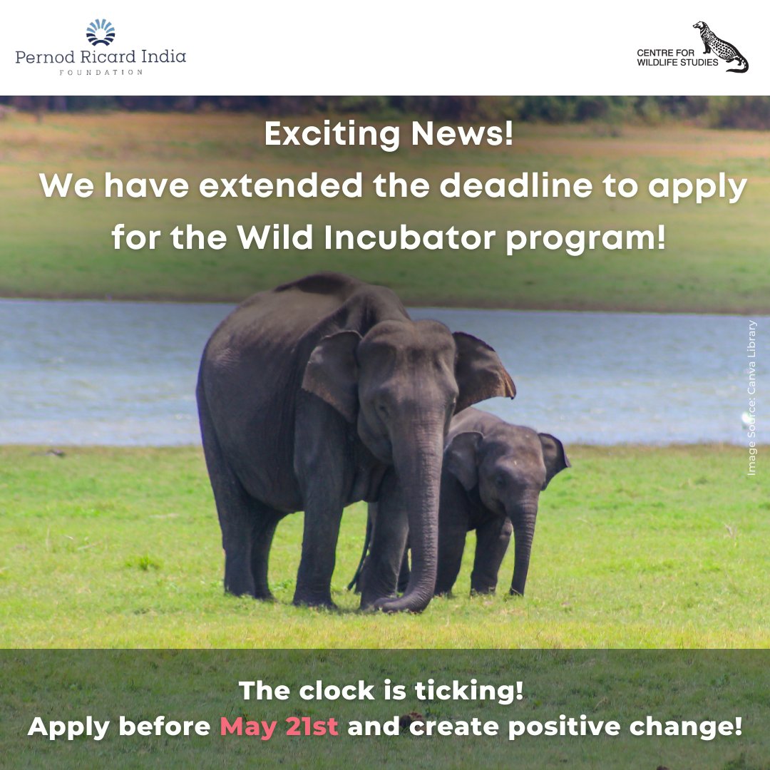cwsindia's tweet photo. The clock is ticking! A few more days until we close applications for our Wild Incubator program, in partnership with Pernod Ricard India Foundation!

Apply by May 21st and create positive change.

Submit your projects now by visiting the link: https://t.co/bQDGvMKoeL https://t.co/XWsCUwiFvr