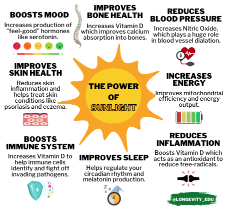 Longevity_EDU's tweet photo. The bottom line:

THE SUN IS YOUR FRIEND. https://t.co/rZDd1RkWQ4