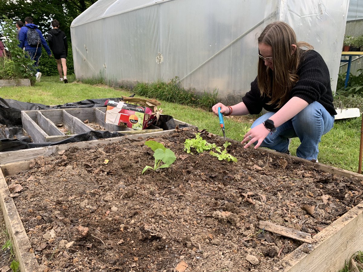 Ça s’active au 🌿jardin pédagogique🌱 ! Mission : étaler le compost pour planter les pieds de tomate🍅 + planter les semis de salade 🥬.