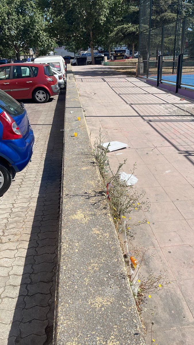 _deboranarvaez's tweet photo. Un vecino del Barrio de Cartuja, se cansó de ver la desidia de los jardineros que no hacen su trabajo completamente y se puso manos a la obra . El barrio de Cartuja está continuamente cuidado por varios vecinos . Somos muchos los que intentamos que toda la zona esté limpia. https://t.co/HotgG5gkX3