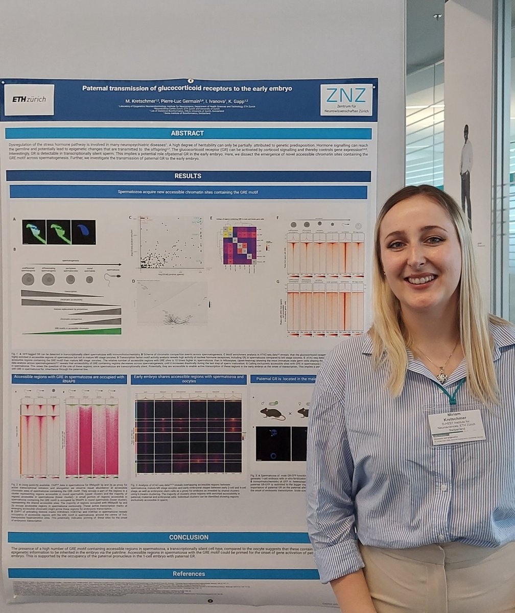 Day 2 of the #emblchromatin conference. After a great round of talks on developmental epigenetics, come and find me at poster nr. 145 for a deeper dive into the role of glucocorticoid receptors in gametes and early embryonal development!