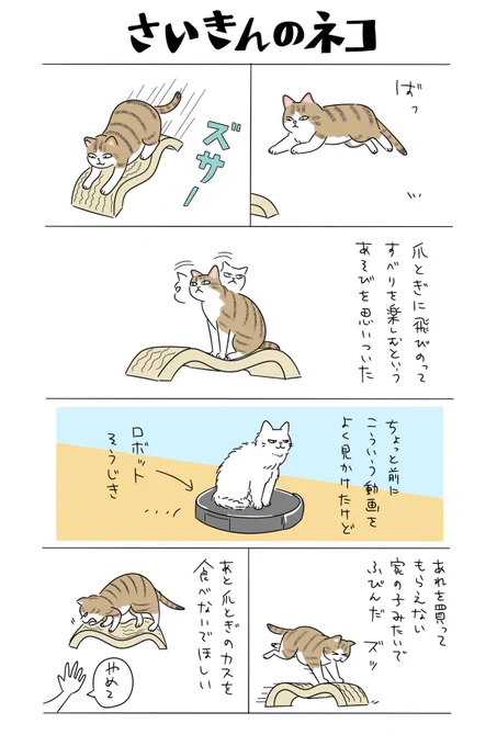 最近のネコです