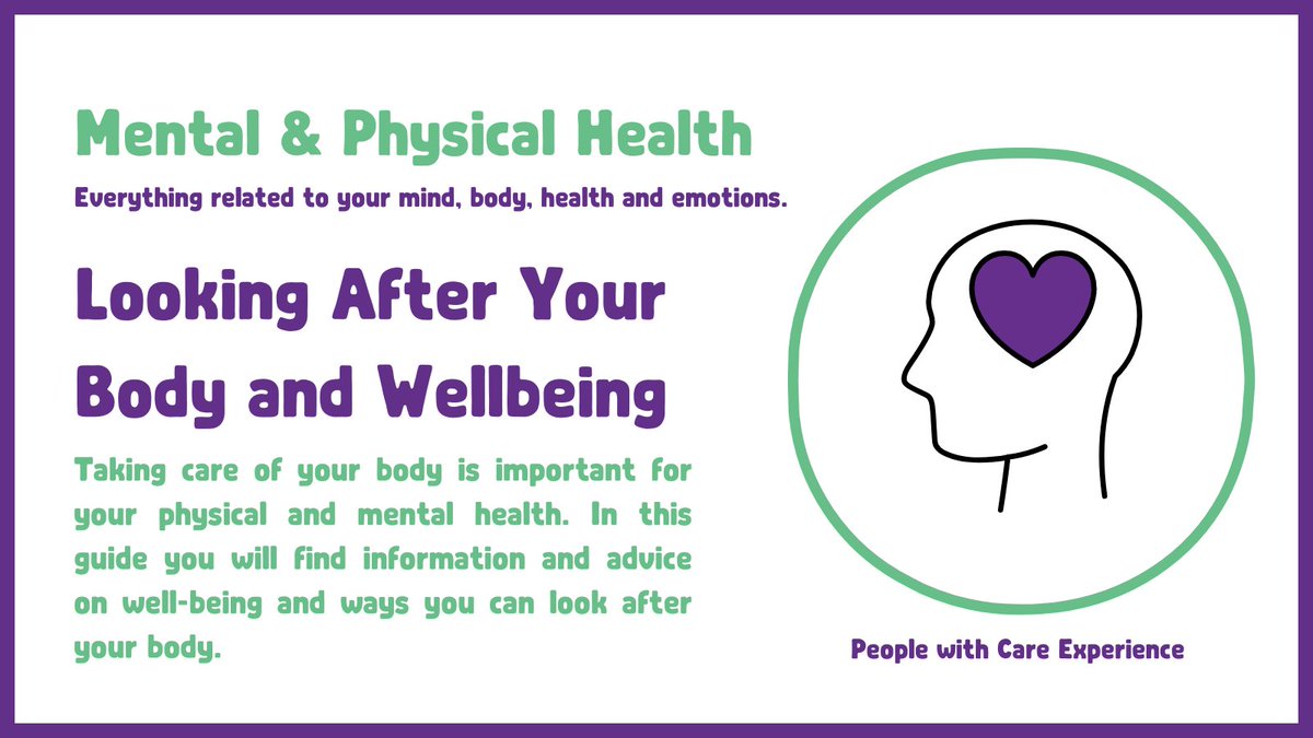 The REAL Toolkit by Staf tweet media