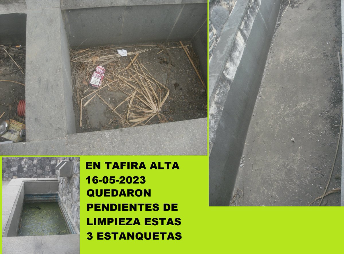 GusLorH's tweet photo. Quiero felicitar al @LimpiezaLPGC del @AyuntamientoLPA por la limpieza de las estanquetas del Parque en #TafiraAlta entre las Calles Las Magnolias y El Molino ... aunque se les quedaron tres de ellas atrás ... espero en breve lo solucionen #LimpiezaLPGC 👏👏👏👏 https://t.co/oEXVsjFZaa