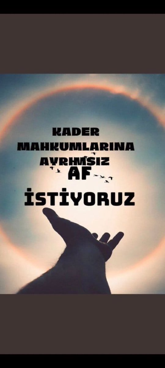 ☀️ nbht ☀️ Samsun tweet media