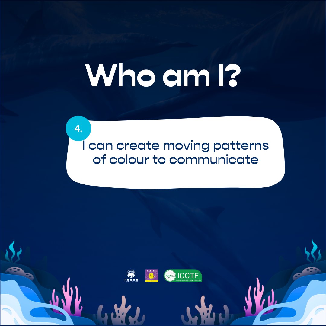 Who am I? Last chance to play!

Catch the release of our 4th NFT today 7:30pm (ICT)!

What will it be???

#whoamı #GuessingGame #NFTs #NFTsforgood #FaunaNFT #nonfungiblerelease #latestrelease #NFTdrop