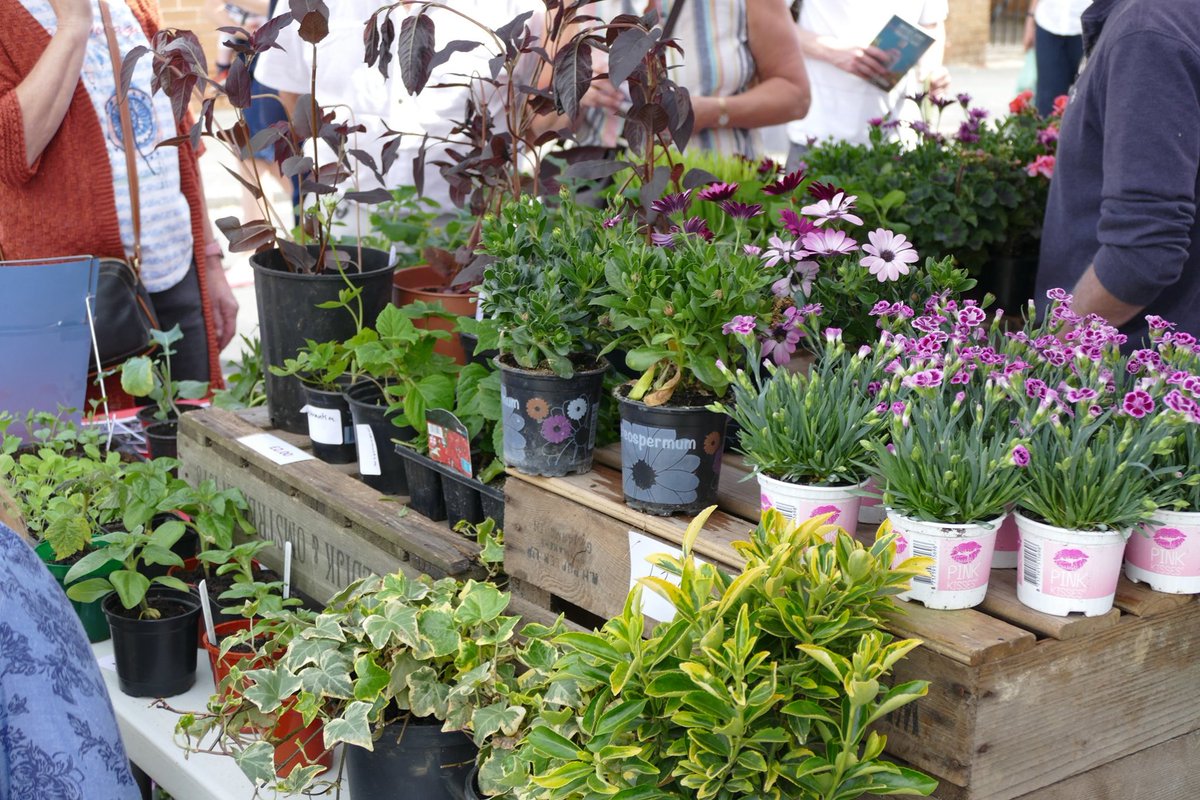 Malton in Bloom tweet media