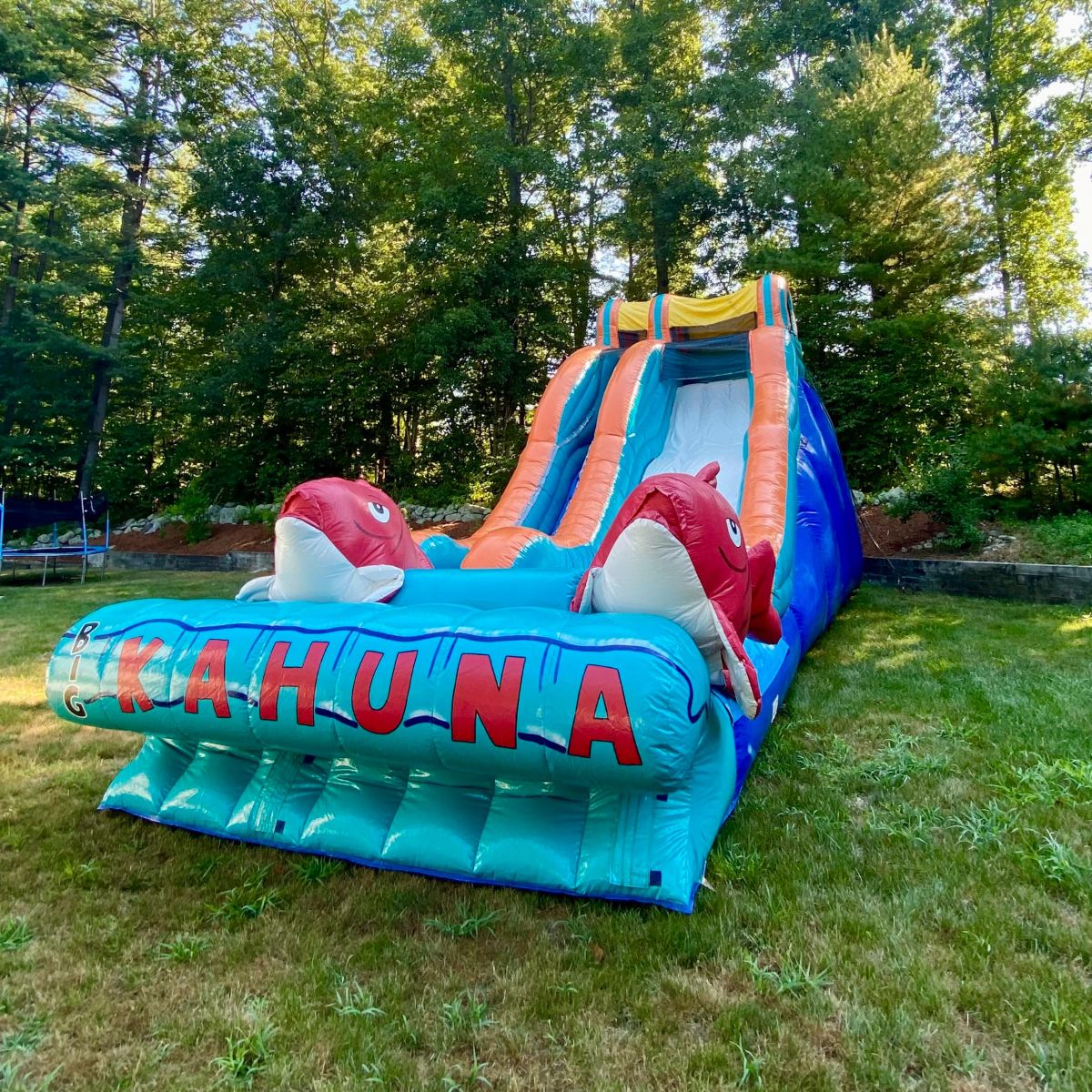 BusyBeeJumpers's tweet photo. Slide into Summer with a Water Slide from Busy Bee Jumpers! https://t.co/JVTU4OA02y