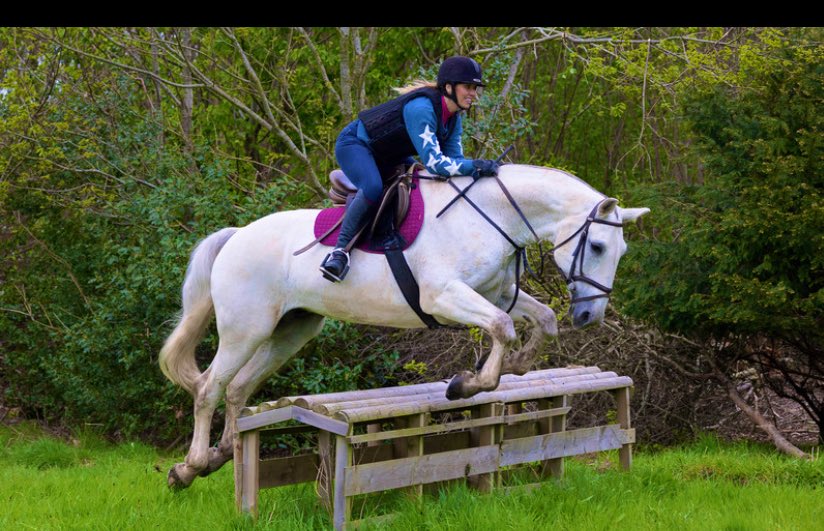 I dream of owning a horse like Sam ❤️ great event @oldburyParkFarm