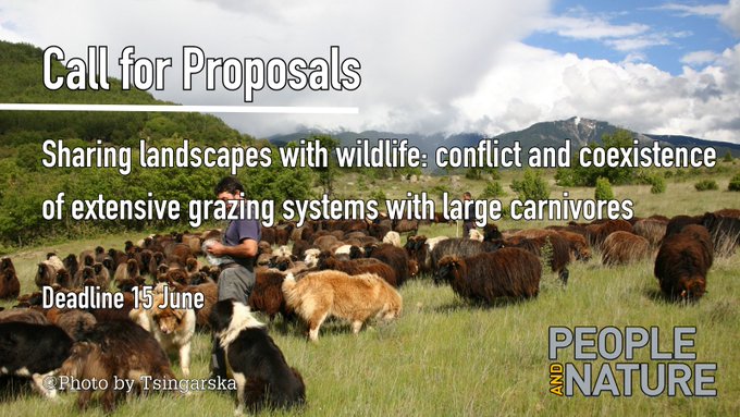 We have an open call for proposals on "Sharing landscapes with wildlife: conflict &amp; coexistence of extensive grazing systems with large carnivores" in <a href="/PaN_BES/">People and Nature</a> 

Details: besjournals.onlinelibrary.wiley.com/page/journal/2…

#HighNatureValuefarmlands #ExtensiveGrazing