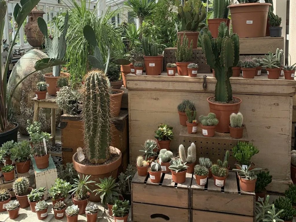 be_lavie's tweet image. if you love visiting hidden gems, here are a few from around the world recommended by locals including myself.

buff.ly/3qjxCN4 
#hiddengem #localtips