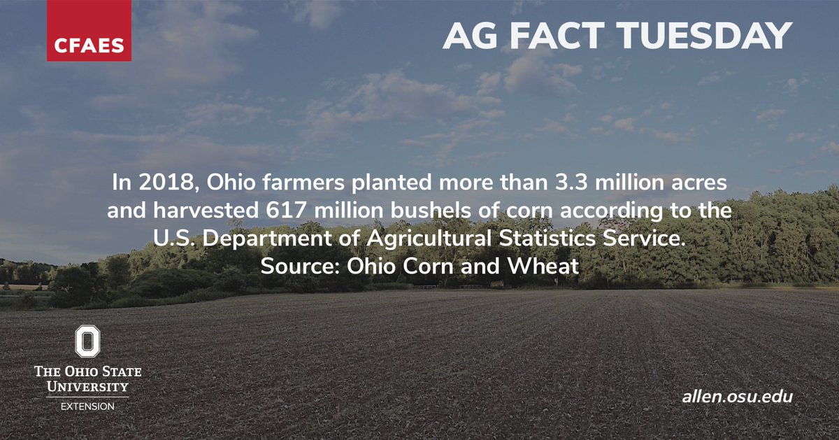 OSU_AllenCounty's tweet photo. https://t.co/f5LCcZT5dz