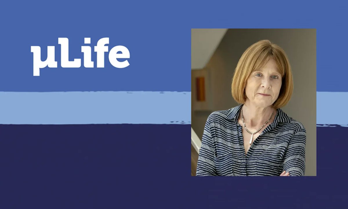 microLifeJrnl's tweet photo. Pioneer studying Mycobacterium #tuberculosis, Sabine Ehrt has lead substantial discoveries on this death-causing pathogen – she shared her experience in this spotlight by @DrBommel 👇 
https://t.co/BTE5NNvuiA https://t.co/NZlxBpznbx