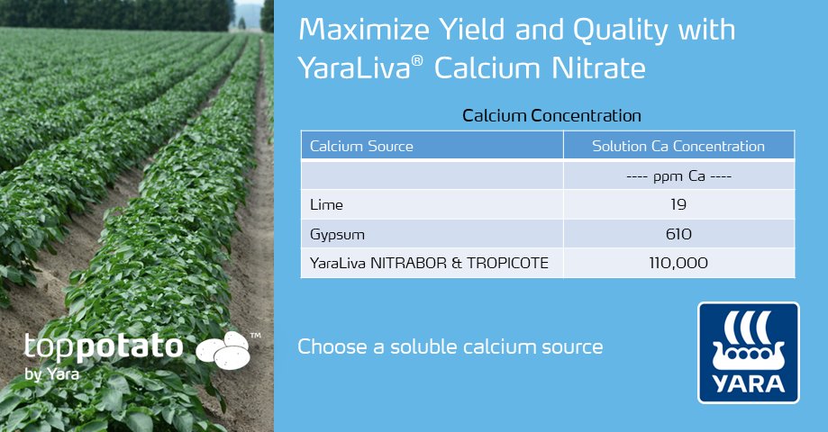 TopPotato Yara Canada tweet media