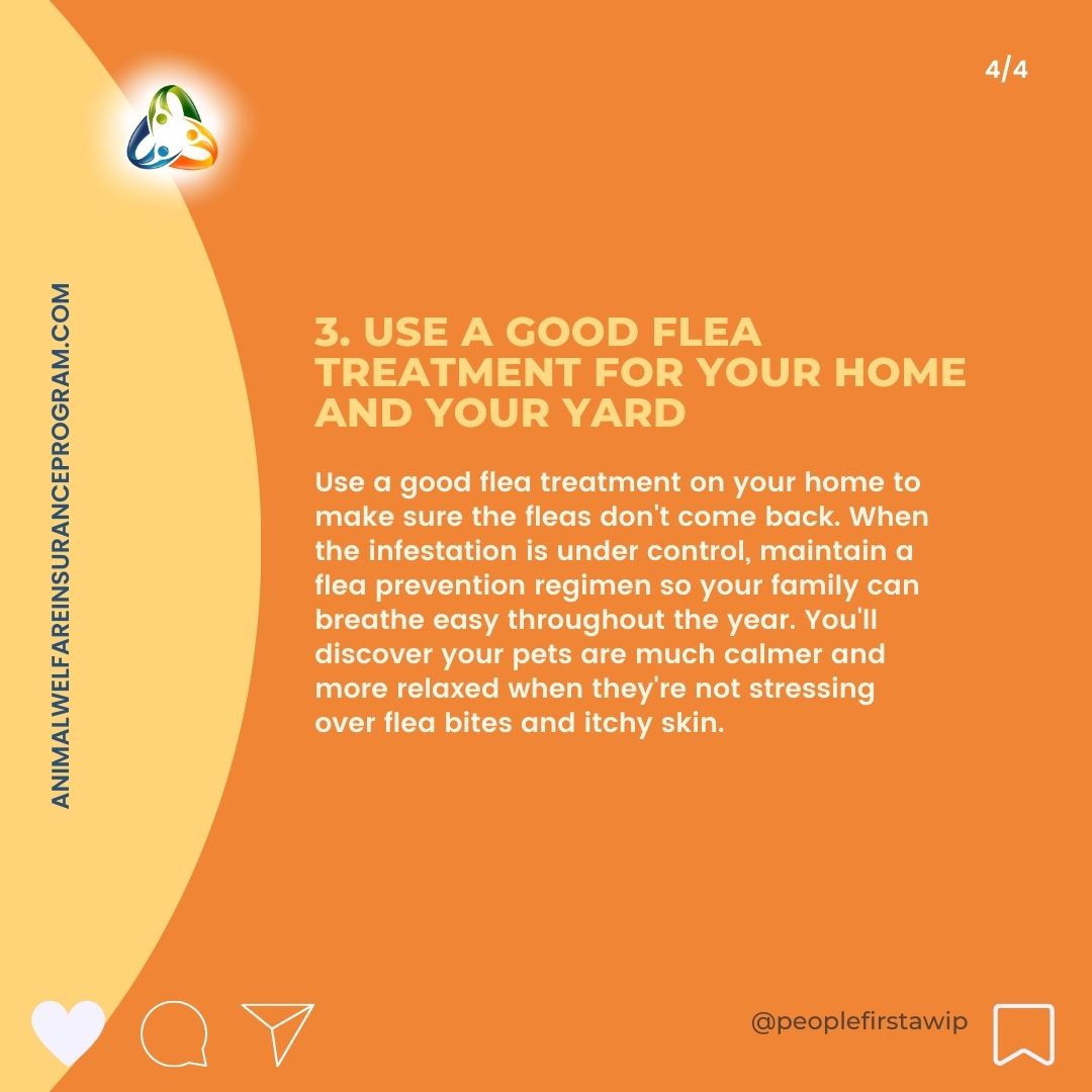 Have you ever been relaxing in your home and noticed your cat or dog scratching more than usual? This might mean they have fleas. Once fleas have taken hold, they can be hard to get rid of. Here's what you can do to prevent fleas! #animalwelfare #petcare #fleas