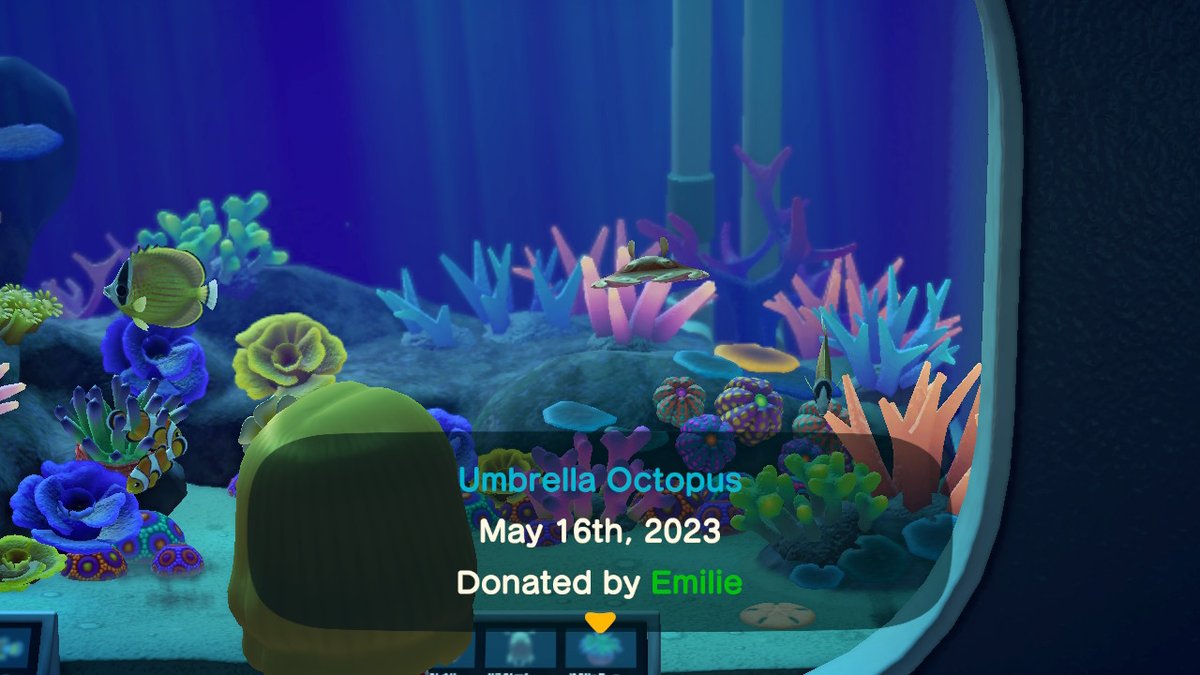 W  I  D  E octopus #AnimalCrossing #ACNH #NintendoSwitch