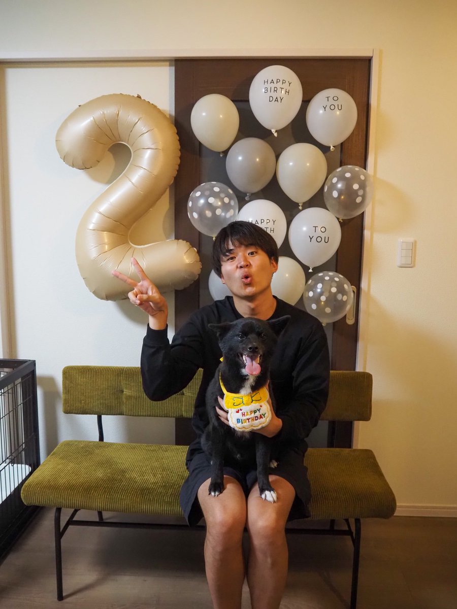 bul_516's tweet photo. 本日誕生日で2歳になりました🐶
本当に生まれてきてくれてありがとう！！
ぶるのいない人生は私たちには考えられないよ🥹
今年も楽しい1年にしようね💖💖

#ポメ柴 #ポメラニアン #柴犬 #2歳誕生日 https://t.co/1yjrmZC97V