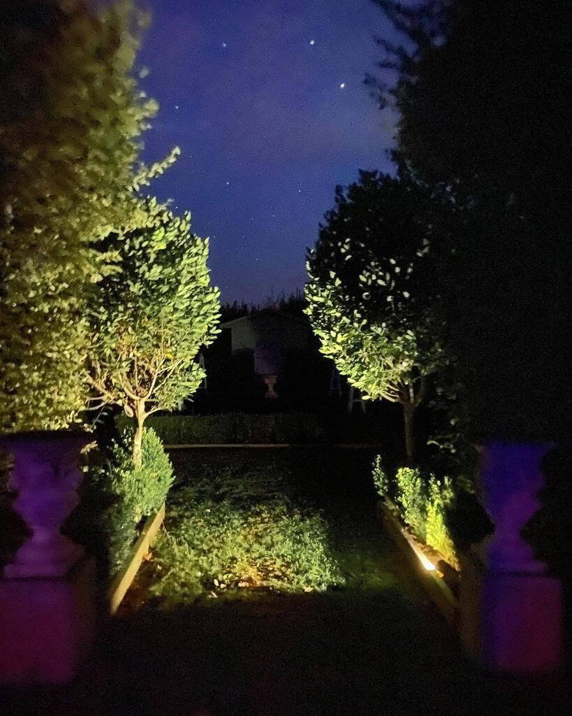 willowbrookpark's tweet photo. Starry starry night, paint your palette blue and grey….
.
.
.
#star #stars #night #nightsky #nightphotography #nightskyphotography #topiary #garden #countryestate #boutiquehotel #lordcowell #willowbrookparknz #uplighting #nocturnal #sleep https://t.co/JR2kNyHz5y https://t.co/yj4oTQZFkV