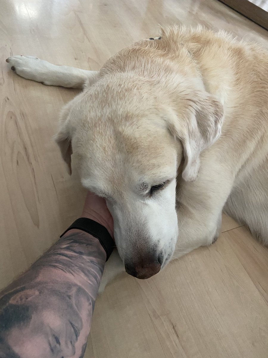 Heute mal wieder Schmusezeit nach einem anstrengenden 24 Dienst😊😊