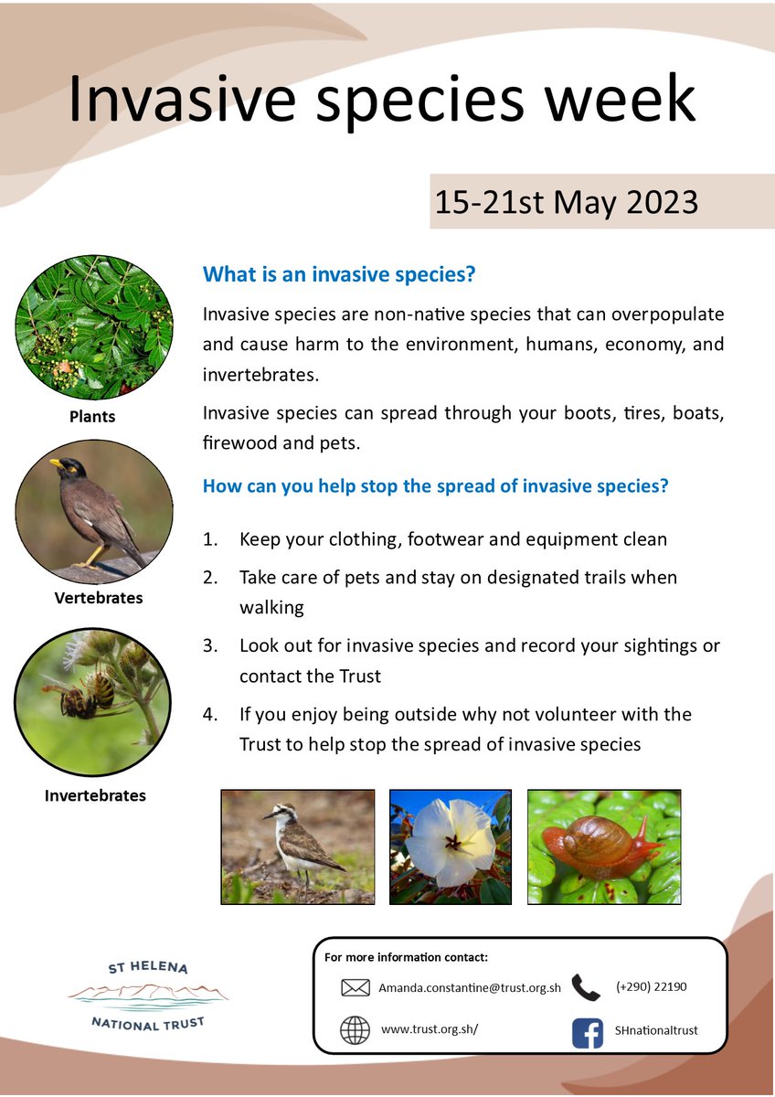 Invasive species week 2023

How can you help stop the spread? 🌿🐦🐜

#StHelena #InvasiveSpecies #INNSweek