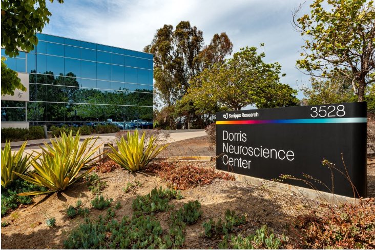 Chen Ran tweet media